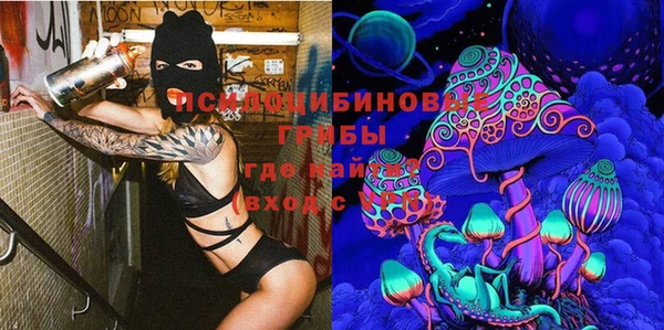 a pvp Верея